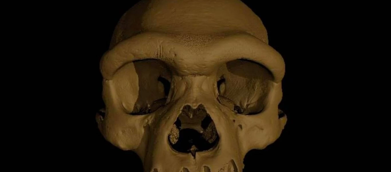 Dragon Man: Ένα εντυπωσιακό κρανίο που δεν ανήκει σε Homo Sapiens αλλάζει τα δεδομένα της ανθρώπινης εξέλιξης